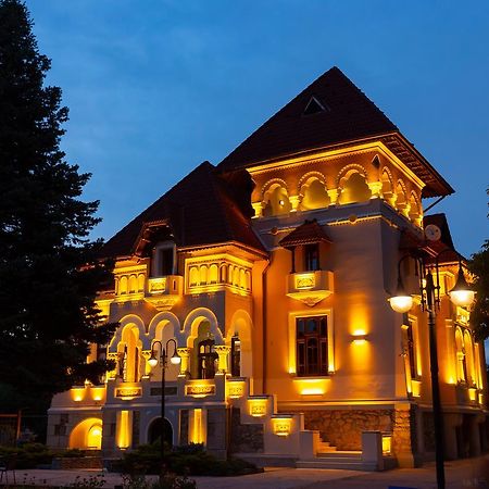 Casa Danielescu Hotel Targu Jiu Luaran gambar