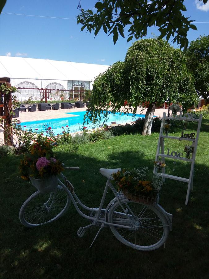 Casa Danielescu Hotel Targu Jiu Luaran gambar