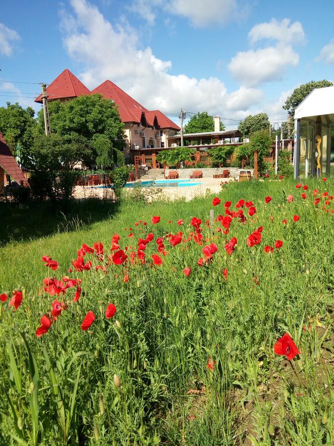 Casa Danielescu Hotel Targu Jiu Luaran gambar