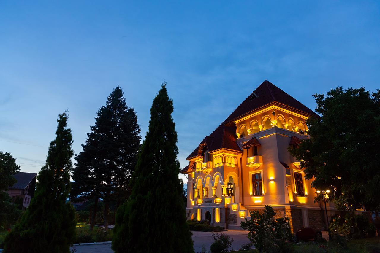Casa Danielescu Hotel Targu Jiu Luaran gambar