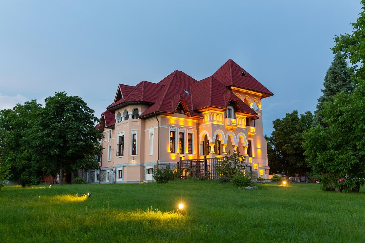 Casa Danielescu Hotel Targu Jiu Luaran gambar